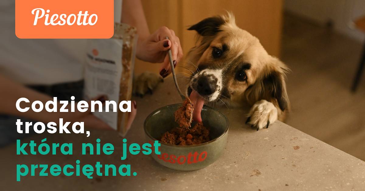 Piesotto i nowoczesne podejście do psiej diety: świeże, gotowane posiłki dla zdrowia