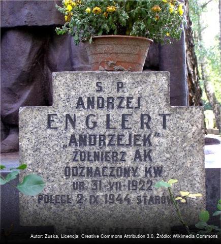 Andrzej Englert