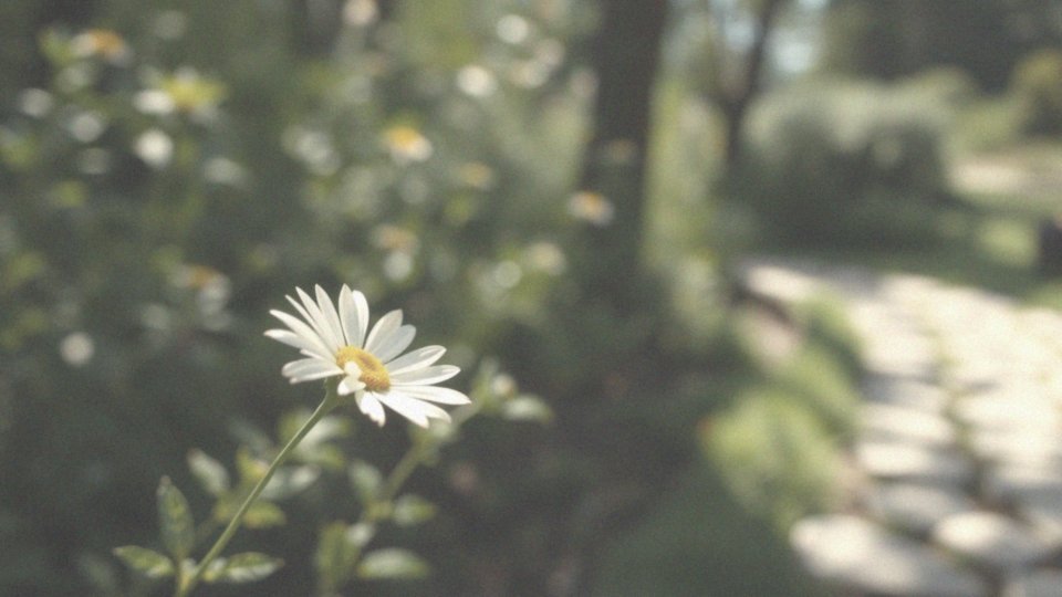 Endometrioza po usunięciu macicy i jajników – objawy i leczenie