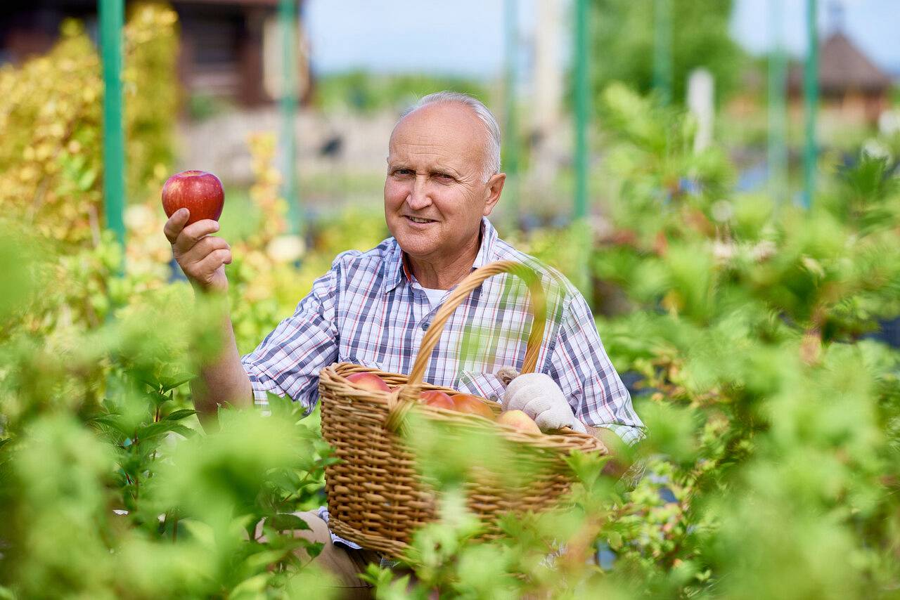 Czy sprzęt ogrodowy szybko się niszczy i wymaga częstej wymiany?