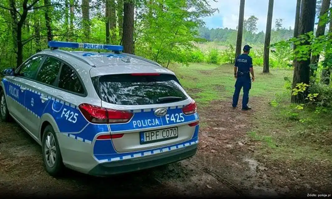 Potrącenie 14-latki na przejściu dla pieszych – zatrzymanie sprawcy