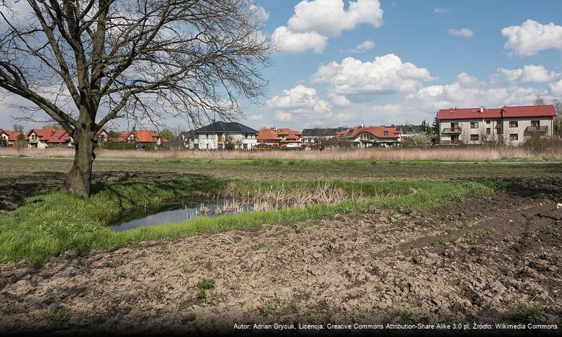 Ludwinów (Warszawa)