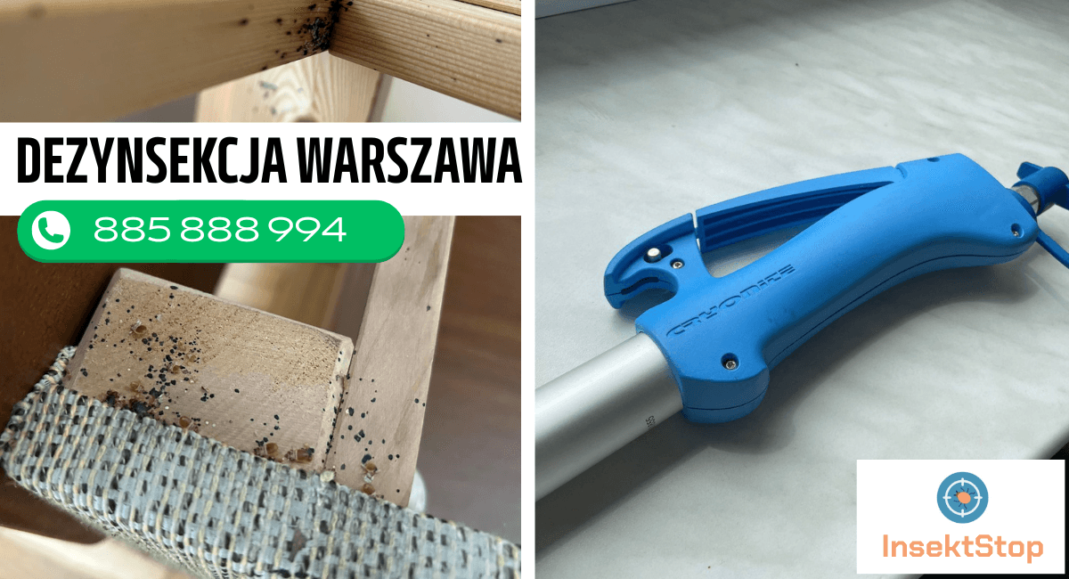 odpluskwianie insektstop.pl