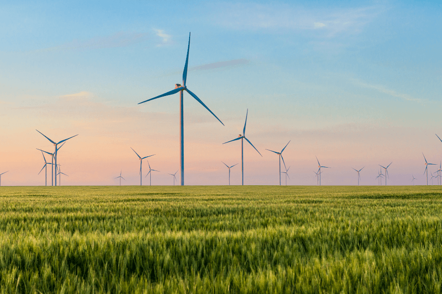 Jak wdrożyć strategię energetyczną w firmie? Od zakupu energii po OZE