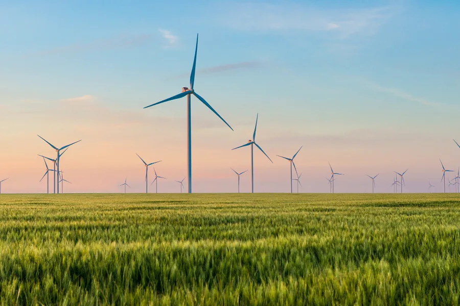 Jak wdrożyć strategię energetyczną w firmie? Od zakupu energii po OZE