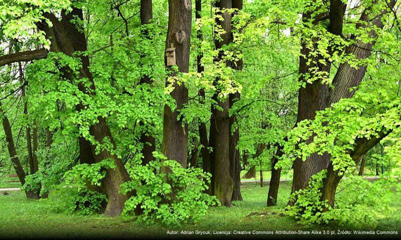 Park Kombatantów w Warszawie