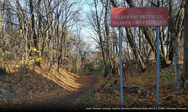 Rezerwat przyrody Skarpa Ursynowska