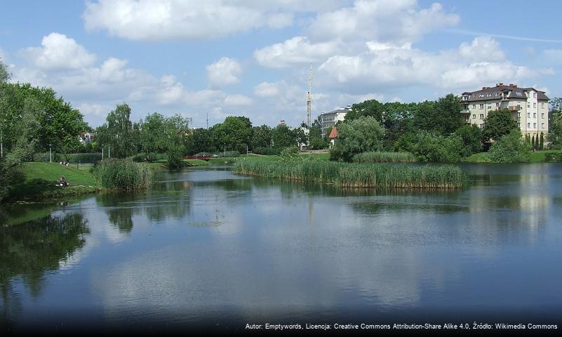 Staw Koziorożca