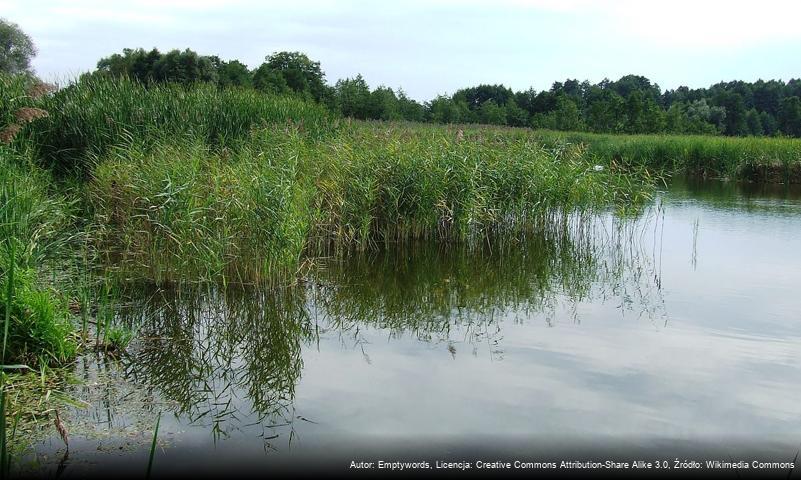 Torfowiska (jezioro)