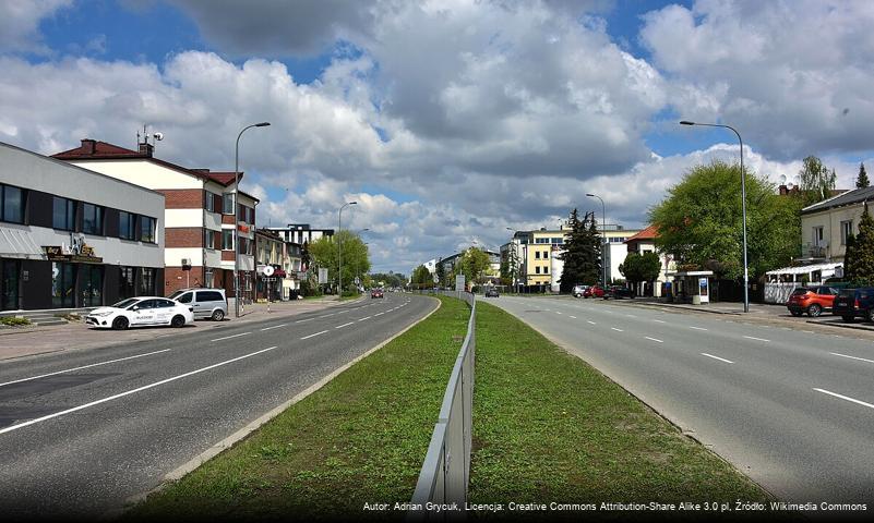 Ulica Wiertnicza w Warszawie