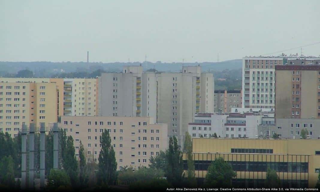 Flisackie porządki nad Wisłą w Warszawie